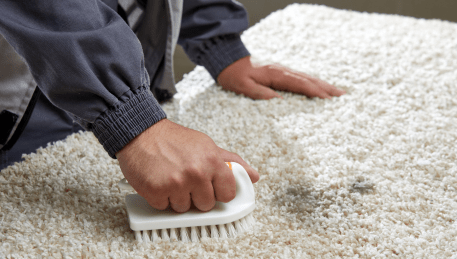 Professional Rug Cleaning Gruyere